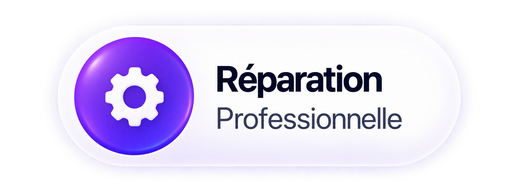 Réparation professionnelle